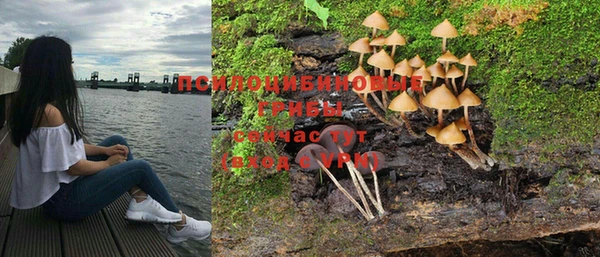 стафф Богданович
