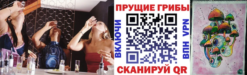 Галлюциногенные грибы прущие грибы  Давлеканово 